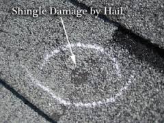 Hail Damage roof shingles