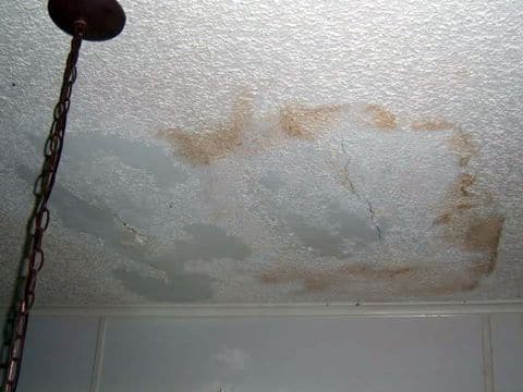 Presence of Excessive Moisture and Roof Leaks