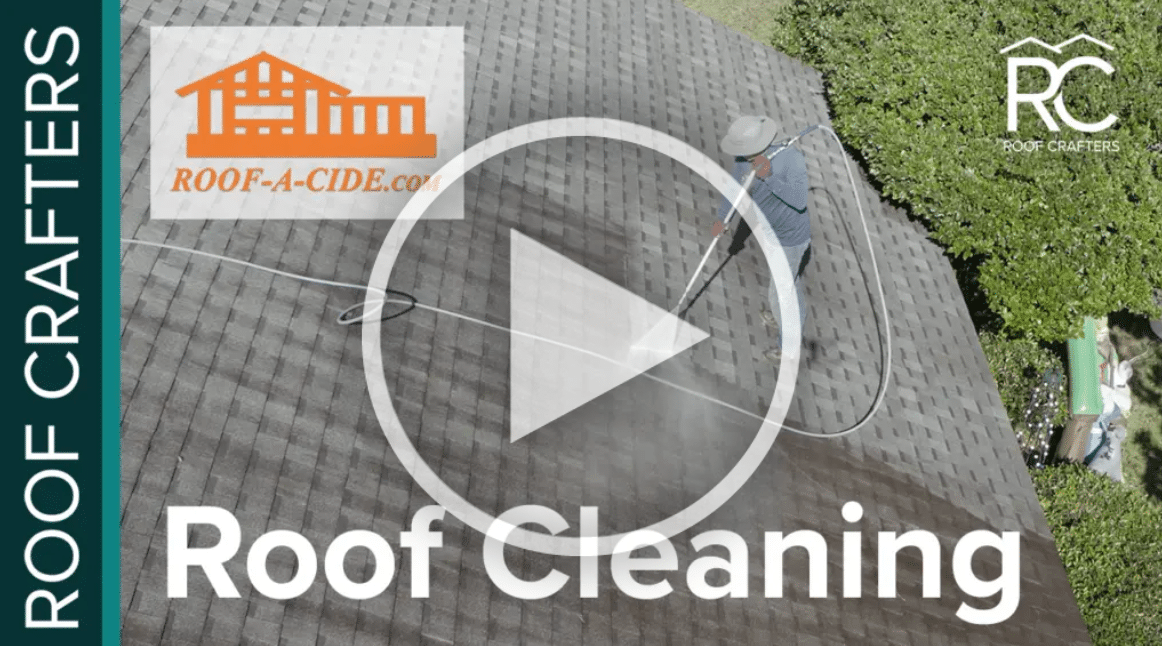 Roof Washing & Treatment Services