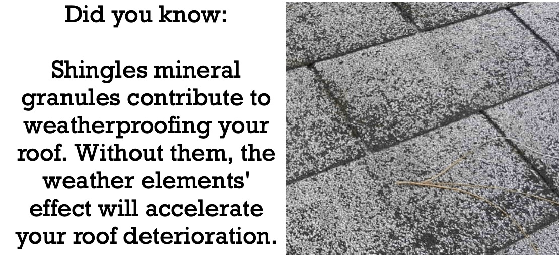 Granular Loss and What it Means for Your Roof