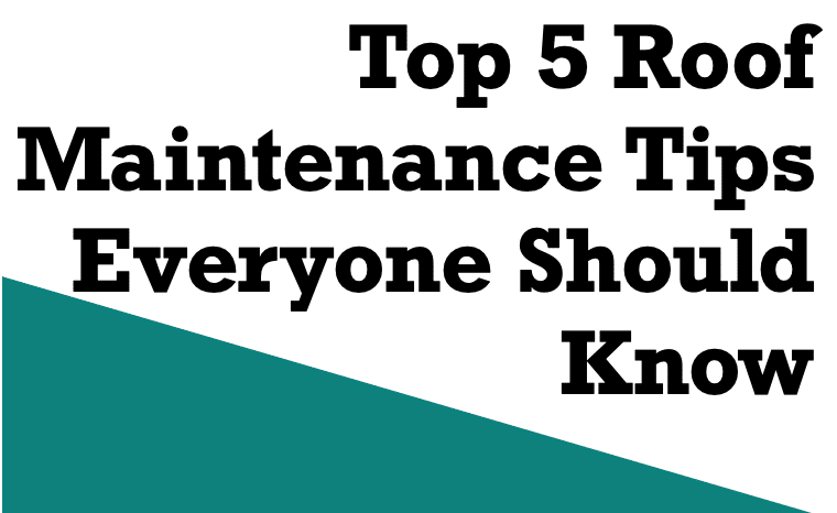 Top-5-Roof-Maintenance-Tips-Everyone-Should-Know