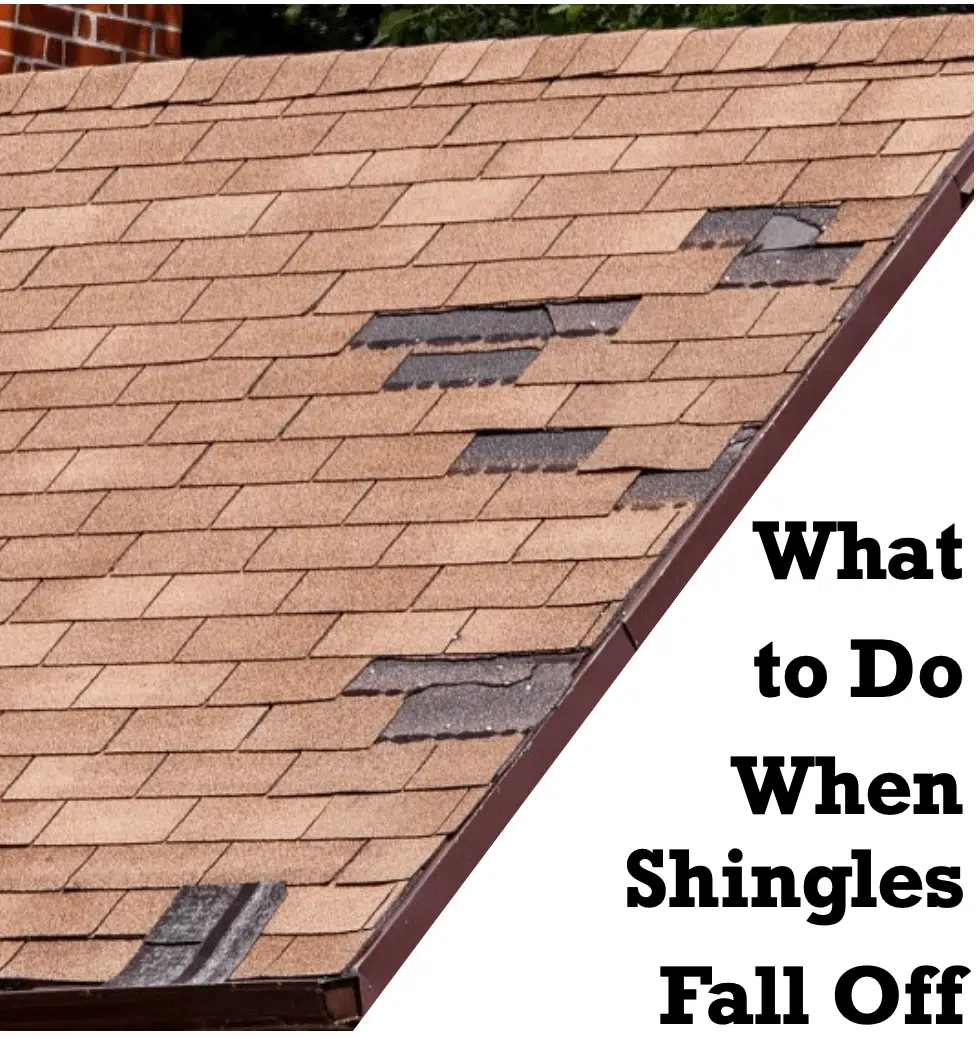 What-to-Do-When-Shingles-Fall-Off