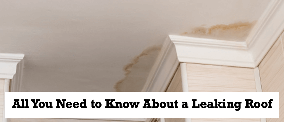 All-You-Need-to-Know-About-a-Leaking-Roof