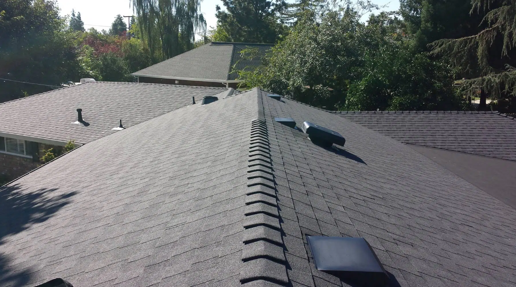 Roof Cleaning