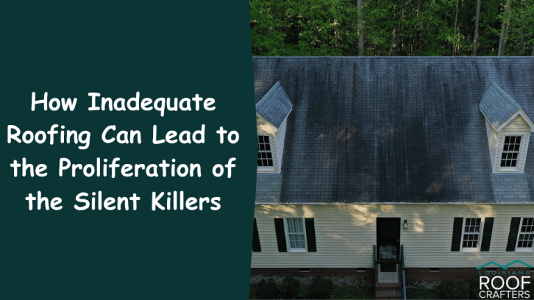 How-Inadequate-Roofing-Can-Lead-to-the-Proliferation-of the-Silent-Killers